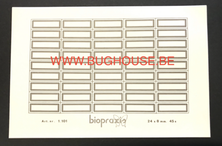 Insectennaamlabels 24x8mm (45 hokjes in &eacute;&eacute;n papier) &quot;Biopraxis&quot;