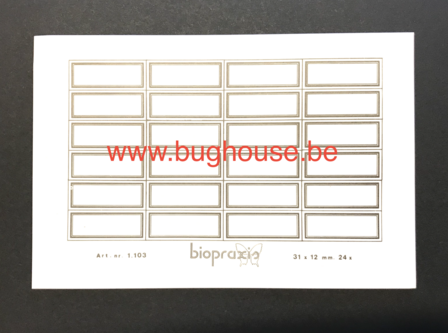 Insect name labels 31x12mm (24 in one paper) &quot;Biopraxis&quot;