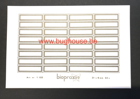 Insect name labels 31x9mm (32 in one paper) &quot;Biopraxis&quot;