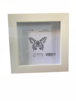 Entomology Frame 15x15x3cm White