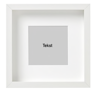 Download Empty frame 25x25cm color white (shadow box) - Bughouse the online insect and entomology shop.